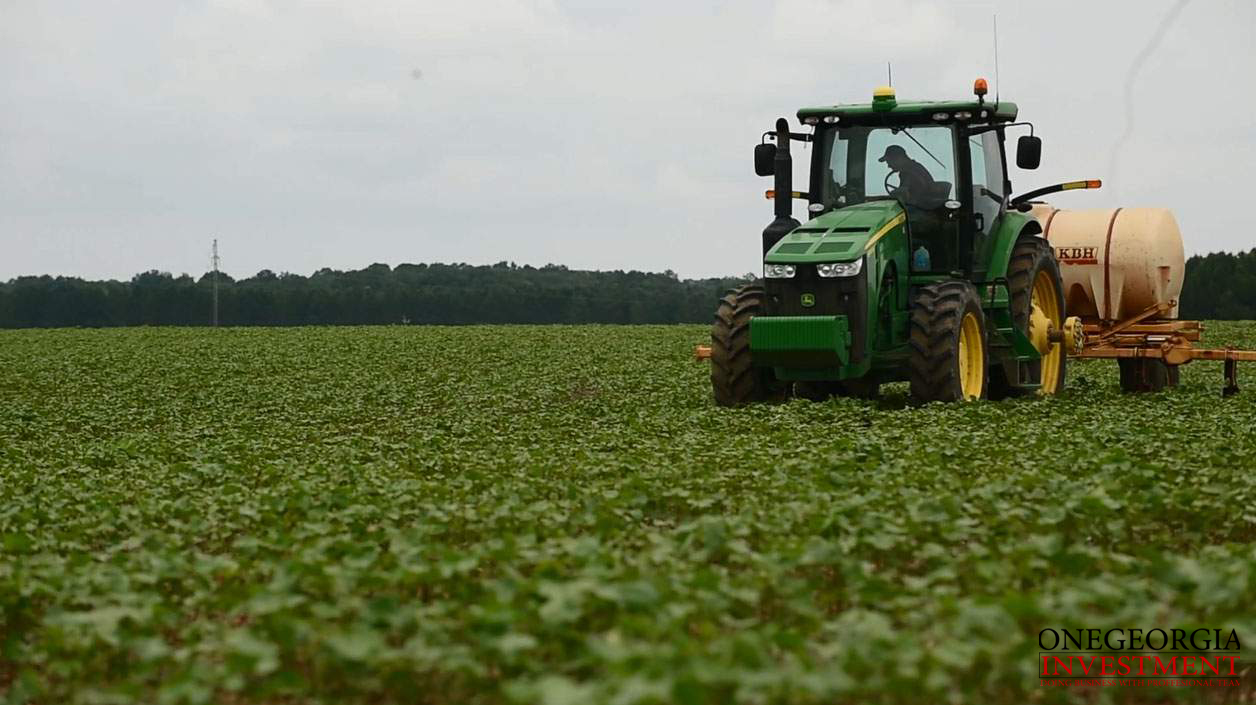 Georgia Agricultural Industry